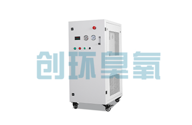 邯山比传统换水更高效？臭氧发生器在石斑鱼养殖中的水质净化原理解析