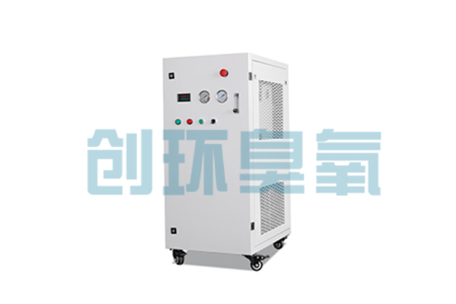 邯山比传统换水更高效?臭氧发生器在石斑鱼养殖中的水质净化原理解析